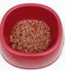 rendre les croquettes d'un chien plus savoureuses