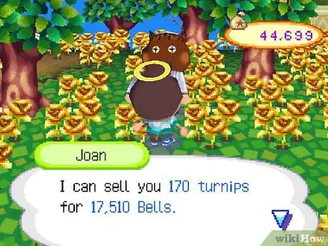 Image intitulée Make a Lot of Bells (Money) in Animal Crossing_ Wild World Step 35