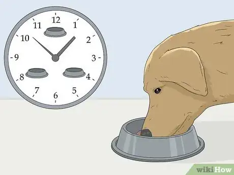 Image intitulée House Train Your Dog Step 2