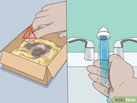 Image intitulée Care for Wild Baby Birds Step 17