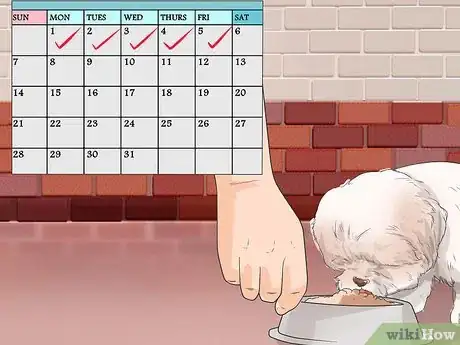 Image intitulée Potty Train a Shih Tzu Step 2
