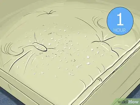 Image intitulée Clean a Tempur Pedic Mattress Step 5