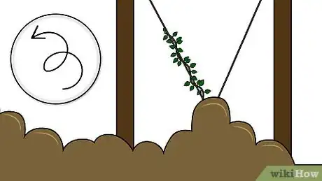 Image intitulée Grow Hops for Brewing Beer Step 12