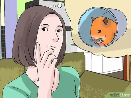 Image intitulée Find a Lost Hamster Step 1