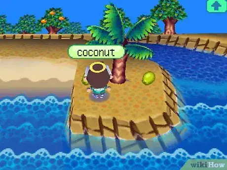 Image intitulée Make a Lot of Bells (Money) in Animal Crossing_ Wild World Step 20