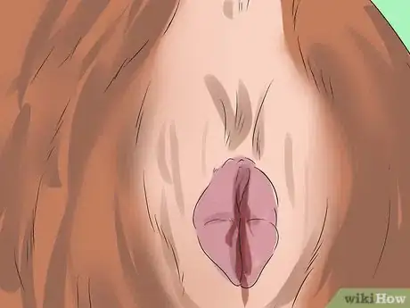 Image intitulée Breed Pugs Step 11