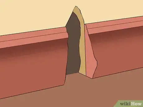 Image intitulée Find a Lost Hamster Step 2