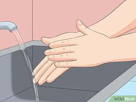 Image intitulée Hold a Hamster Step 1