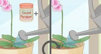 tailler des orchidées