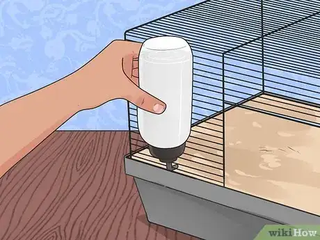 Image intitulée Feed Dwarf Hamsters Step 6