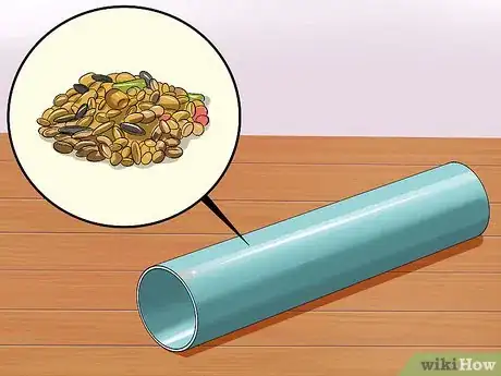 Image intitulée Catch a Runaway Hamster Step 14