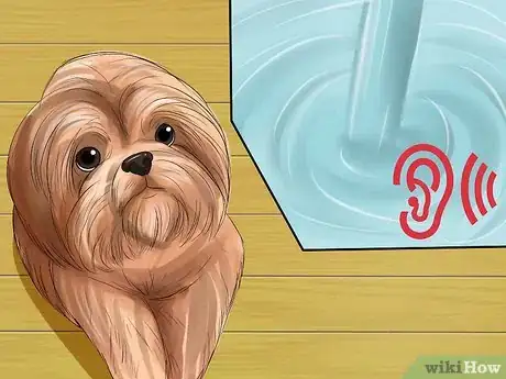 Image intitulée Bathe a Shih Tzu Puppy Step 3