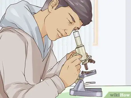 Image intitulée Grow Algae Step 10