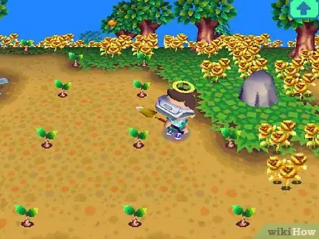Image intitulée Make a Lot of Bells (Money) in Animal Crossing_ Wild World Step 54
