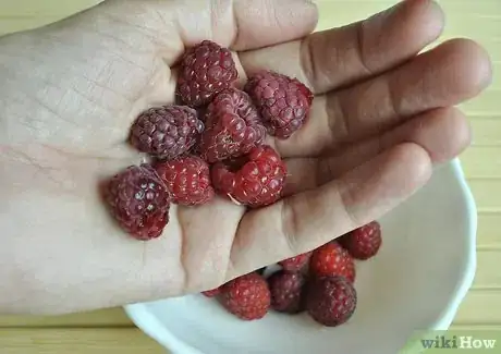 Image intitulée Store Raspberries Step 9