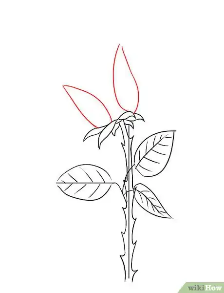 Image intitulée Draw a Rose Step 8