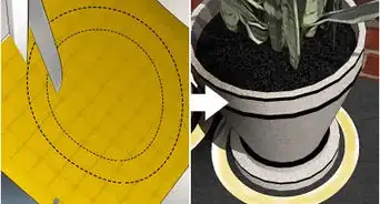 éliminer les fourmis de vos plantes en pot