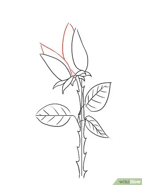 Image intitulée Draw a Rose Step 9