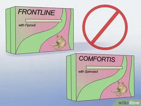 Image intitulée Get Rid of Fleas on a Puppy Too Young for Normal Medication Step 10