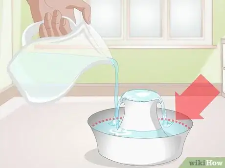 Image intitulée Train Your Cat to Use a Pet Fountain Step 10