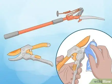 Image intitulée Prune a Schefflera Plant Step 4