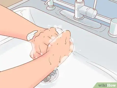 Image intitulée Get Rid of Tapeworms in Your Pets Step 12