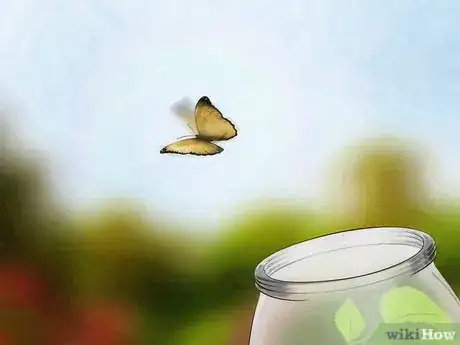 Image intitulée 1553905 7 1