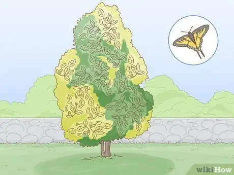 Image intitulée Find a Caterpillar Step 25