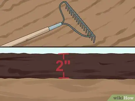 Image intitulée Sow Grass Seed Step 4