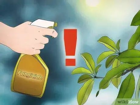 Image intitulée Care for an Injured Honeybee Step 18
