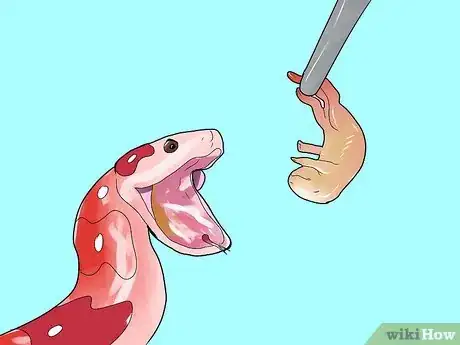 Image intitulée Care for a Corn Snake Step 8