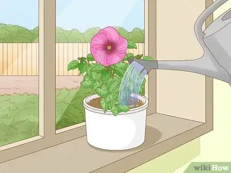Image intitulée Winterize a Perennial Hibiscus Step 15