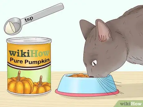 Image intitulée Help a Cat Cough Up a Hairball Step 5