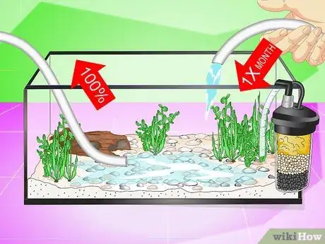 Image intitulée Set up a Fish Tank (for Goldfish) Step 7