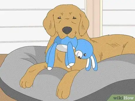 Image intitulée Tell Your Dog No Step 10