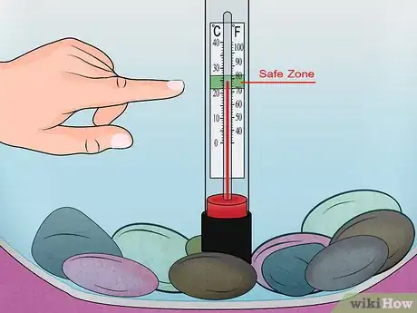 Image intitulée Fix Swim Bladder Disease in Goldfish Step 13