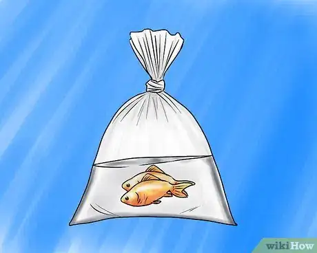 Image intitulée Set up a Freshwater Aquarium Step 10