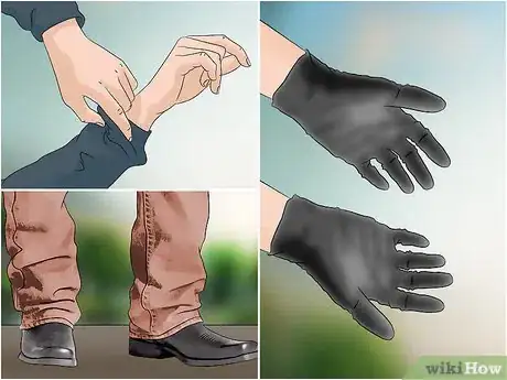 Image intitulée Identify a Black Widow Spider Step 12