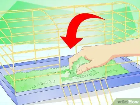 Image intitulée Make Your Guinea Pig Comfortable in Its Cage Step 6