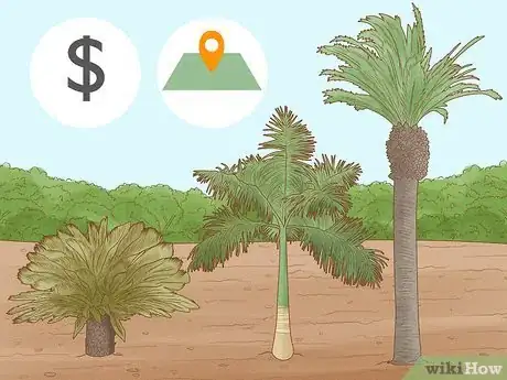 Image intitulée Plant a Palm Tree Step 2