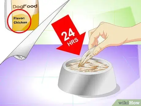 Image intitulée Cure a Dog's Stomach Ache Step 3