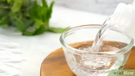 Image intitulée Extract Mint Oils from Leaves Step 1