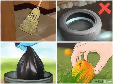 Image intitulée Remove Dead Animal Odor Step 11
