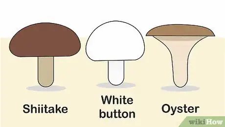 Image intitulée Grow Mushrooms Indoors Step 1