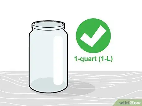Image intitulée Grow Broccoli Sprouts Step 1