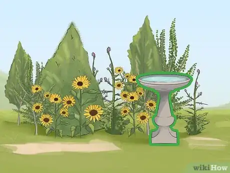 Image intitulée Attract Yellow Finches Step 5
