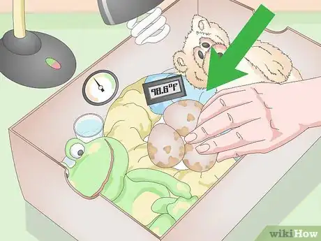 Image intitulée Create an Egg Incubator for Wild Bird Eggs Step 8