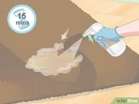Image intitulée Get Dog Urine Smell out of Carpets Step 2