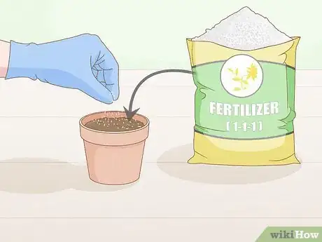 Image intitulée Grow Lavender from Seed Step 12