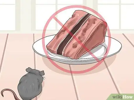 Image intitulée Care for a Baby Wild Mouse Step 12